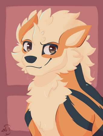 Arcanine Arcanine