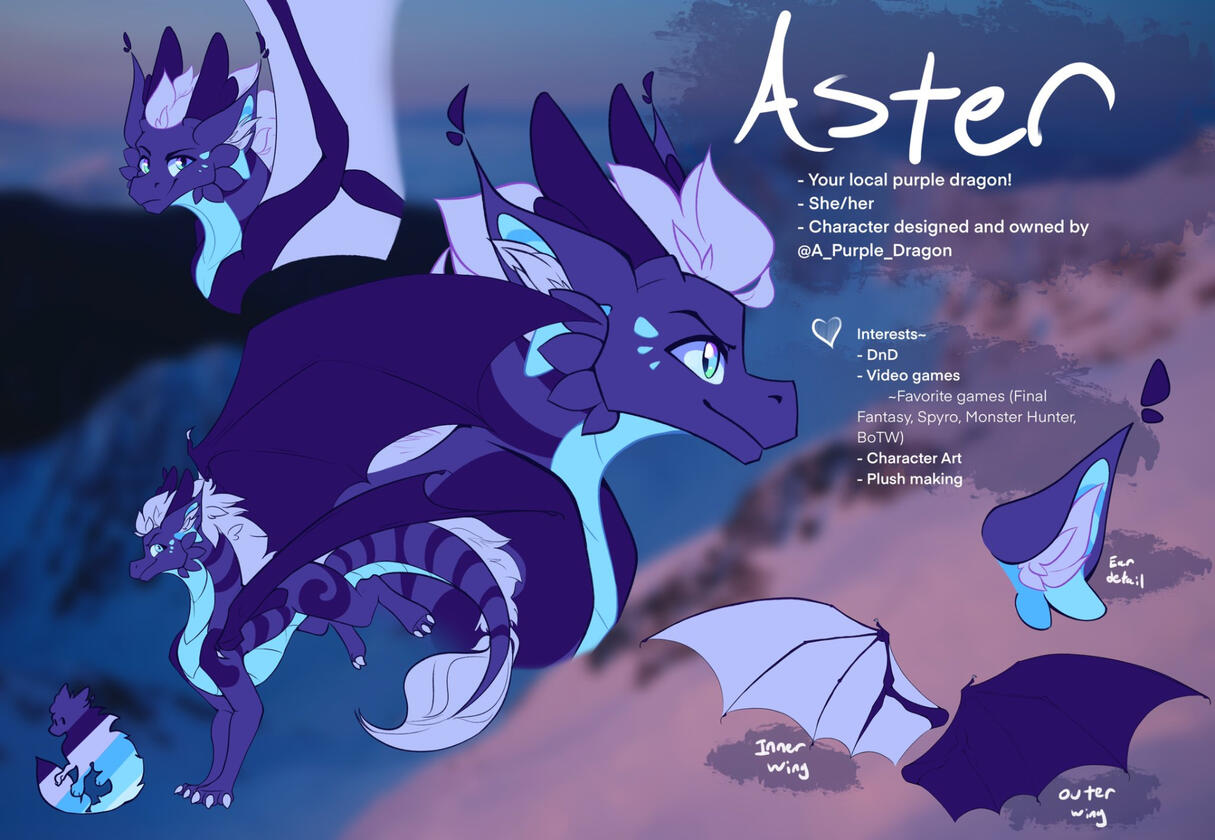 Aster Reference Sheet